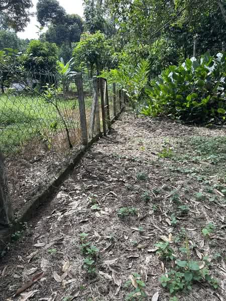 Agricultural Land for Sale in Semenyih (Selangor) - Maria Abu Bakar - Exterior - PropertyGuru.com.my