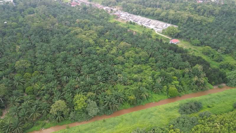 Agricultural Land for Sale in Bandar Pontian (Pontian) - Darren Tew - PropertyGuru.com.my