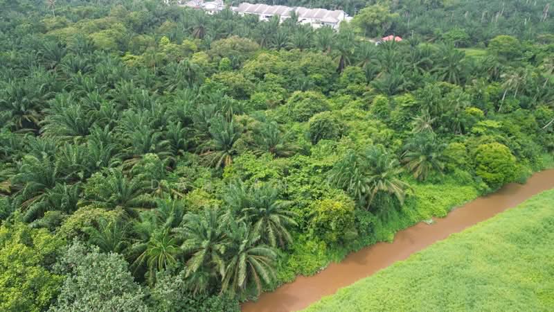 Agricultural Land for Sale in Bandar Pontian (Pontian) - Darren Tew - PropertyGuru.com.my