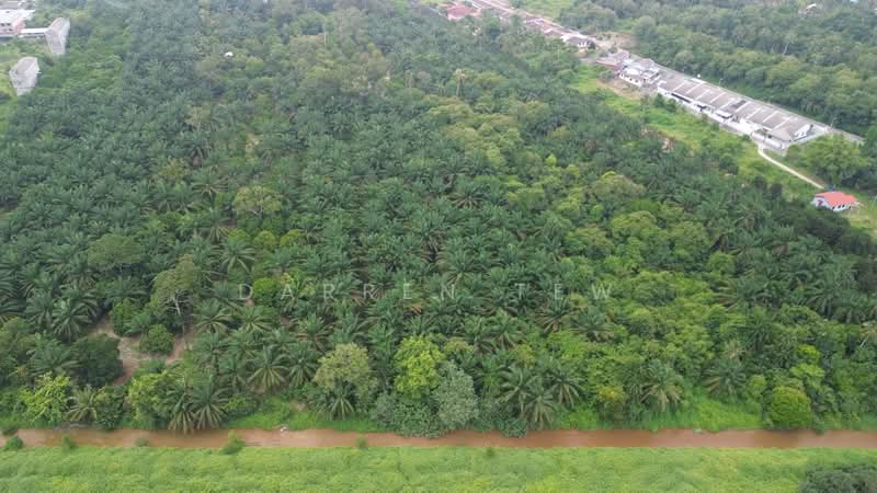 Agricultural Land for Sale in Bandar Pontian (Pontian) - Darren Tew - PropertyGuru.com.my