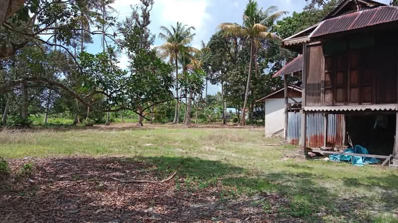 Agricultural Land for Sale in Kampung Sungai Semambu (Bukit Mertajam) - Alvin Seah - Exterior - PropertyGuru.com.my