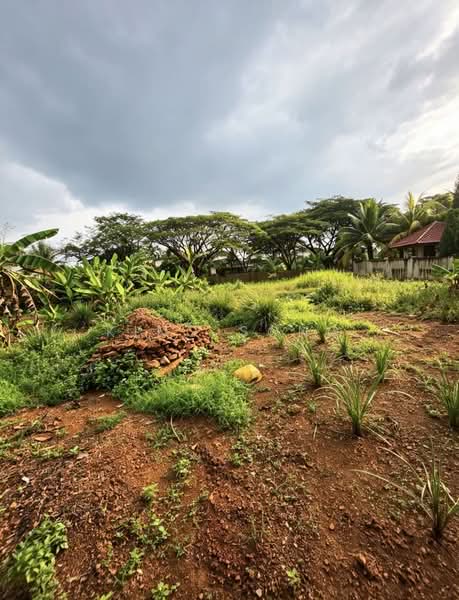 Bungalow House untuk Dijual di Taman Krubong Perdana (Krubong) - King Song - PropertyGuru.com.my