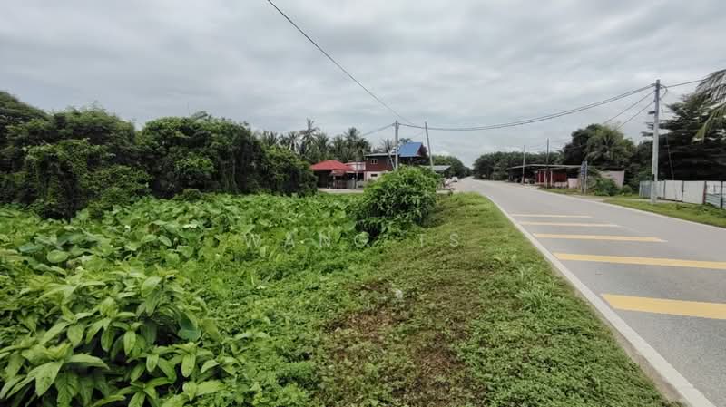 Tanah Pertanian untuk Dijual di Sidam Kiri (Kedah) - Wang TS - Exterior - PropertyGuru.com.my