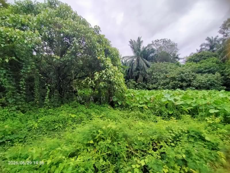 Tanah Pertanian untuk Dijual di Sidam Kiri (Kedah) - Wang TS - Garden - PropertyGuru.com.my