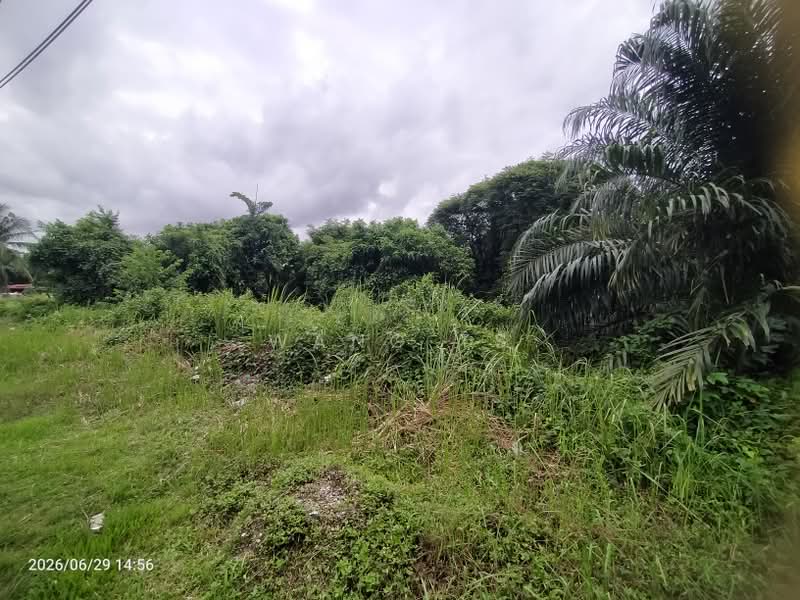 Tanah Pertanian untuk Dijual di Sidam Kiri (Kedah) - Wang TS - Exterior - PropertyGuru.com.my