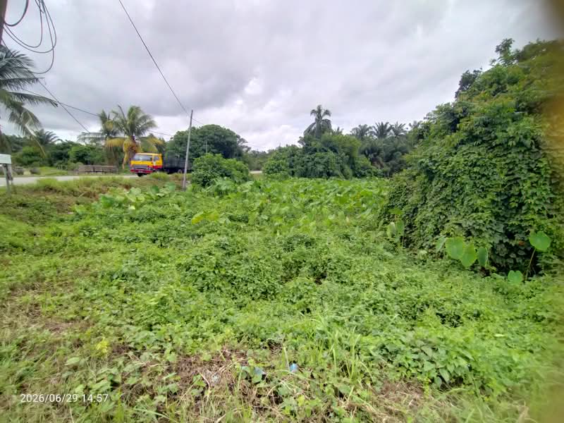 Tanah Pertanian untuk Dijual di Sidam Kiri (Kedah) - Wang TS - Exterior - PropertyGuru.com.my