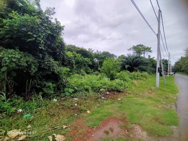 Tanah Pertanian untuk Dijual di Sidam Kiri (Kedah) - Wang TS - Exterior - PropertyGuru.com.my
