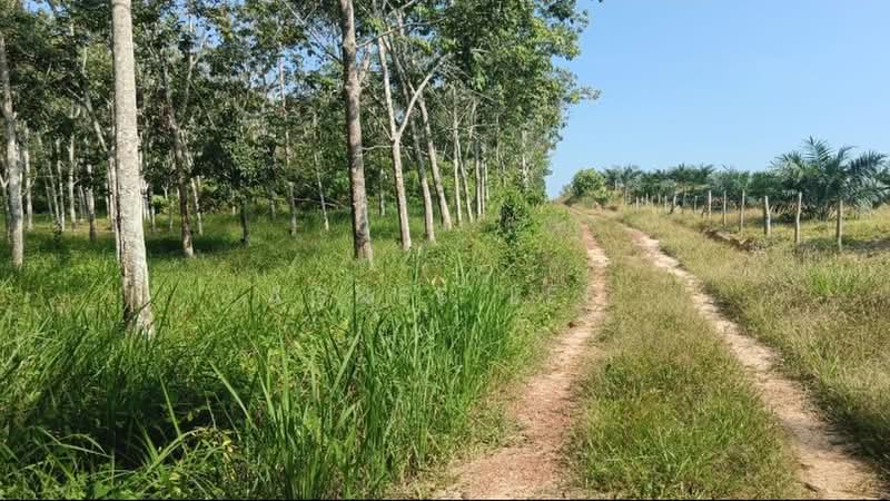 Agricultural Land for Sale in Segamat (Johor) - Agnes Lee - Exterior - PropertyGuru.com.my