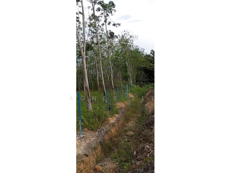 Agricultural Land for Sale in Segamat (Johor) - Agnes Lee - Exterior - PropertyGuru.com.my