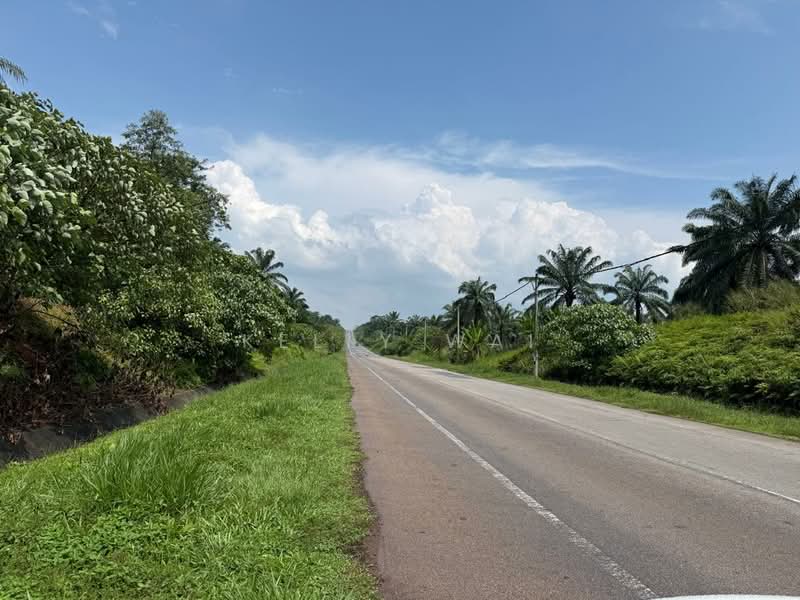 Agricultural Land for Sale in Segamat (Johor) - Kelly Wai - Exterior - PropertyGuru.com.my