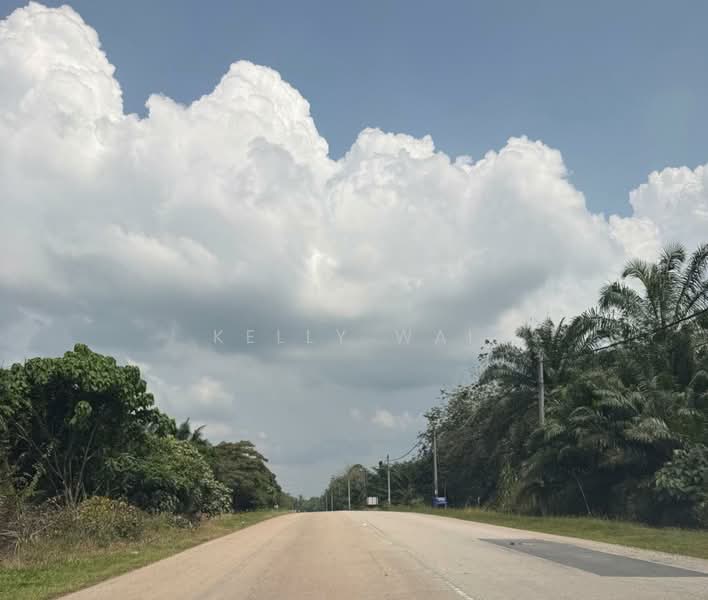 Agricultural Land for Sale in Segamat (Johor) - Kelly Wai - Exterior - PropertyGuru.com.my