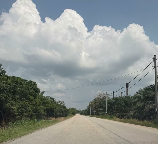 Agricultural Land for Sale in Segamat (Johor) - Kelly Wai - Exterior - PropertyGuru.com.my