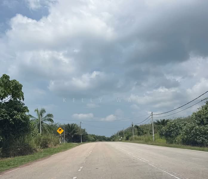 Agricultural Land for Sale in Segamat (Johor) - Kelly Wai - Exterior - PropertyGuru.com.my