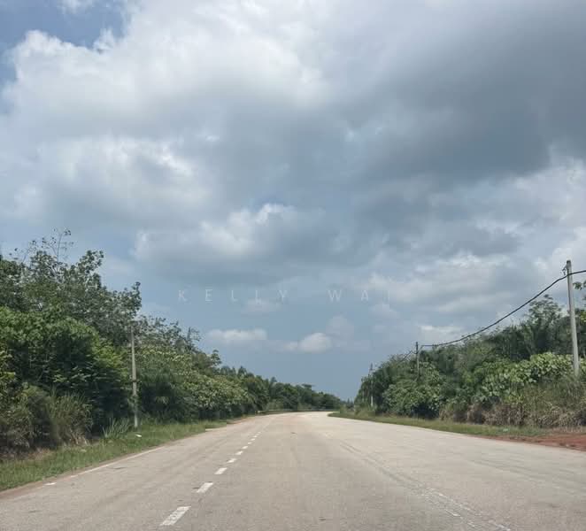 Agricultural Land for Sale in Segamat (Johor) - Kelly Wai - PropertyGuru.com.my