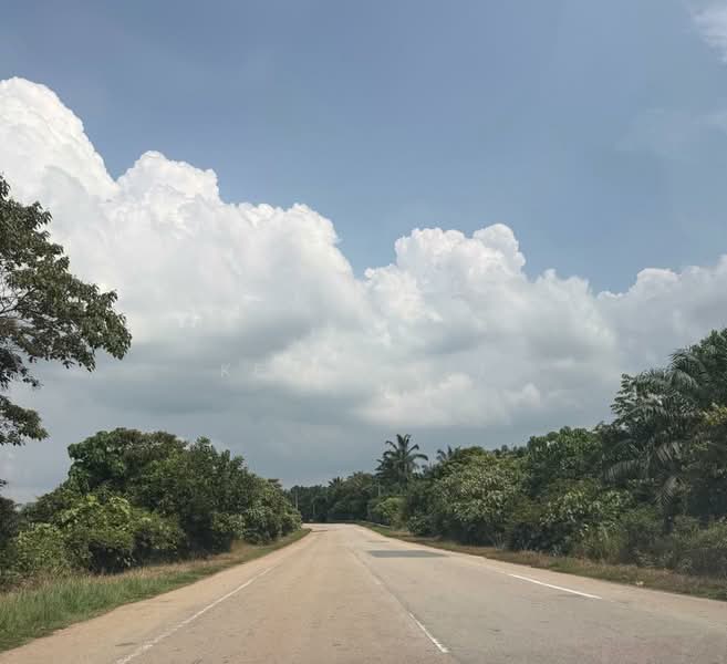Agricultural Land for Sale in Segamat (Johor) - Kelly Wai - Exterior - PropertyGuru.com.my