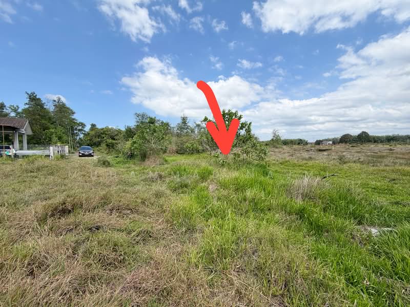 Residential Land for Sale in Kampung Banggol Katong (Serada) - Muhammad Najmi - Exterior - PropertyGuru.com.my