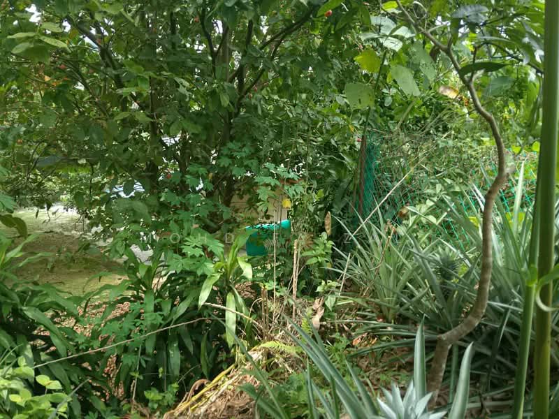 Residential Land for Sale in Rawang (Selangor) - Mohd Faizal - Garden - PropertyGuru.com.my