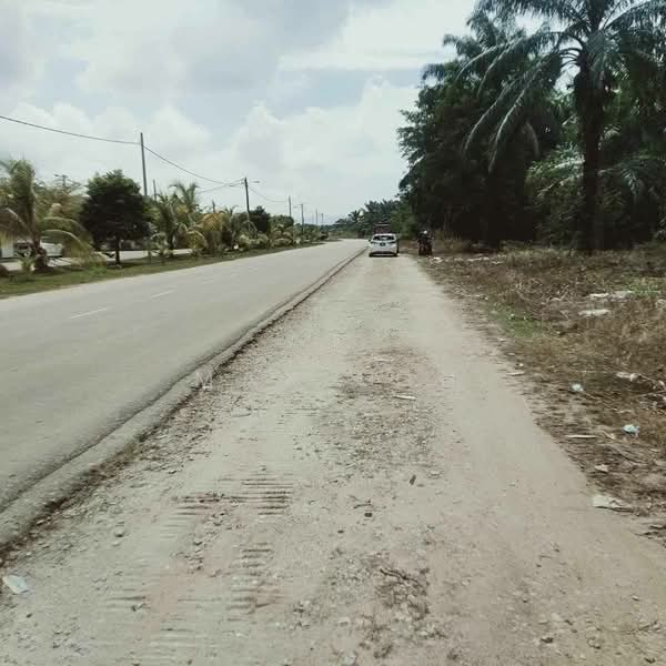 Agricultural Land for Sale in Batu Pahat (Johor) - Max Loh - Exterior - PropertyGuru.com.my