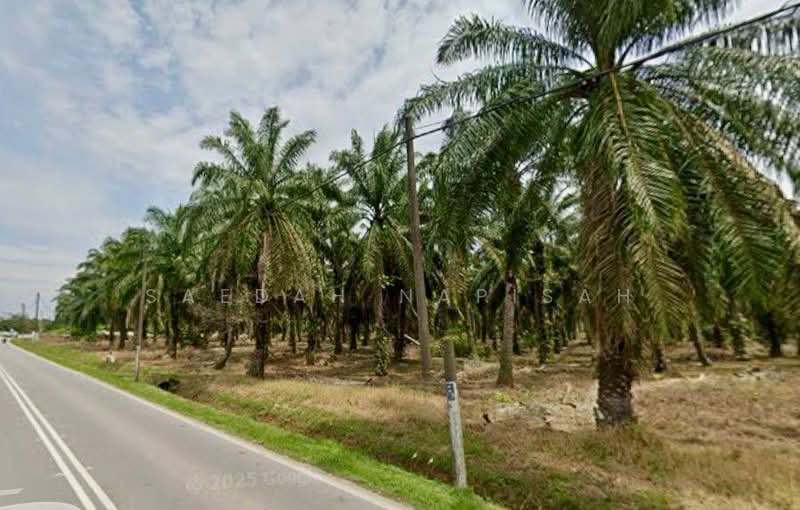 Other Property for Sale in Benut (Johor) - Saedah Napisah - PropertyGuru.com.my