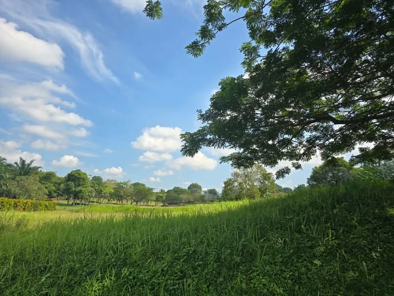 Tanah Kediaman untuk Dijual di Leisure Farm (Gelang Patah) - Au Yong Lucy - Garden - PropertyGuru.com.my