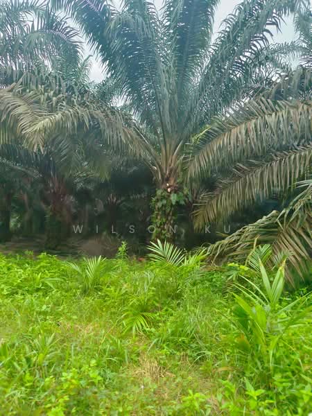 Kedai untuk Disewa di Taman Ungku Tun Aminah (Skudai) - Wilson Ku - PropertyGuru.com.my
