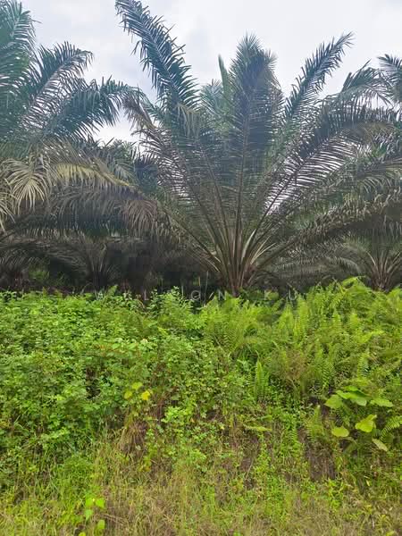 Kedai untuk Disewa di Taman Ungku Tun Aminah (Skudai) - Wilson Ku - PropertyGuru.com.my