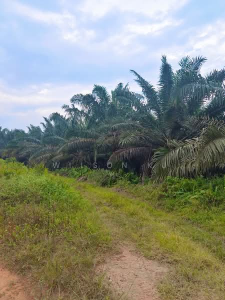 Kedai untuk Disewa di Taman Ungku Tun Aminah (Skudai) - Wilson Ku - PropertyGuru.com.my