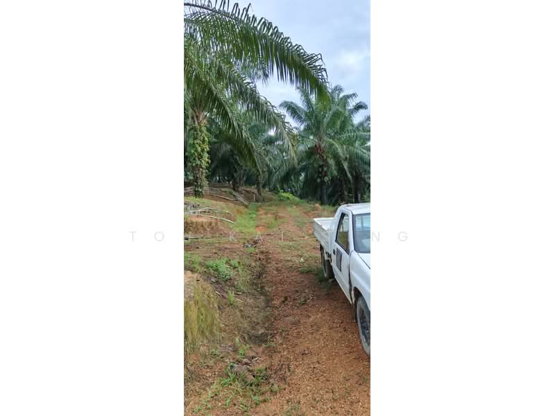 Agricultural Land for Sale in Kampung Jemapoh (Kuala Pilah) - Toh Kai Seng - PropertyGuru.com.my