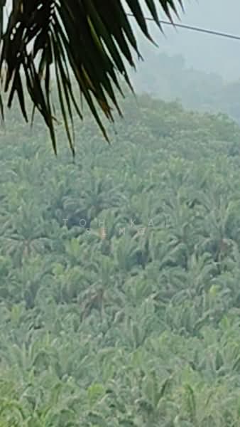 Agricultural Land for Sale in Kampung Jemapoh (Kuala Pilah) - Toh Kai Seng - PropertyGuru.com.my