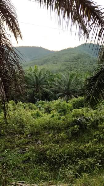 Agricultural Land for Sale in Kampung Jemapoh (Kuala Pilah) - Toh Kai Seng - PropertyGuru.com.my
