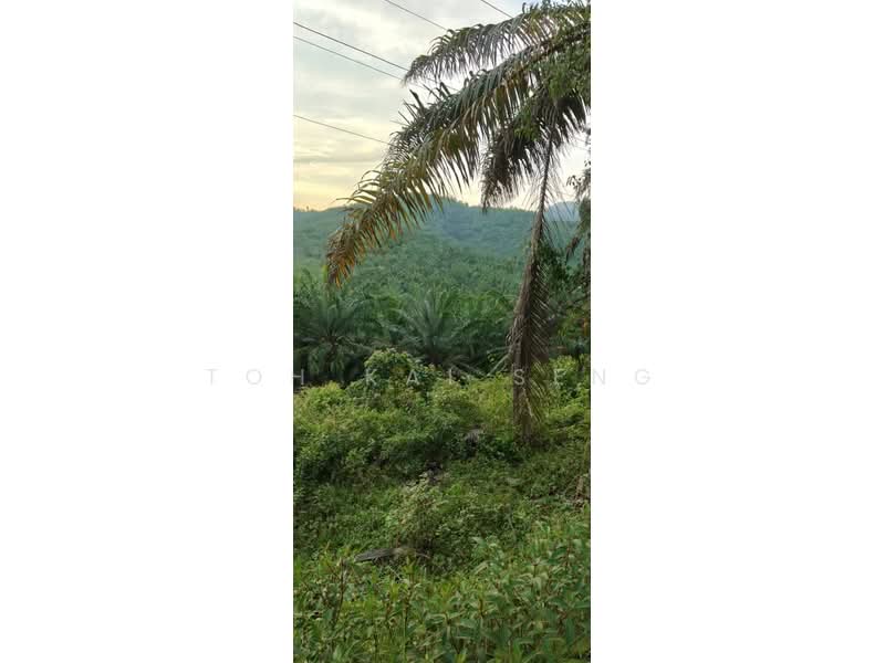 Agricultural Land for Sale in Kampung Jemapoh (Kuala Pilah) - Toh Kai Seng - PropertyGuru.com.my