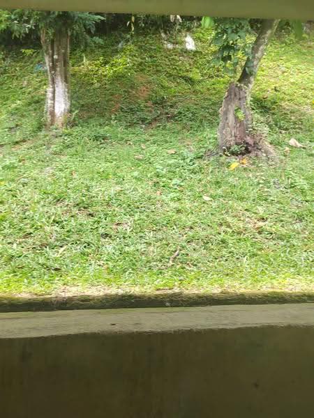 Bungalow House for Sale in Bangsar (Kuala Lumpur) - Geetha Padman - PropertyGuru.com.my