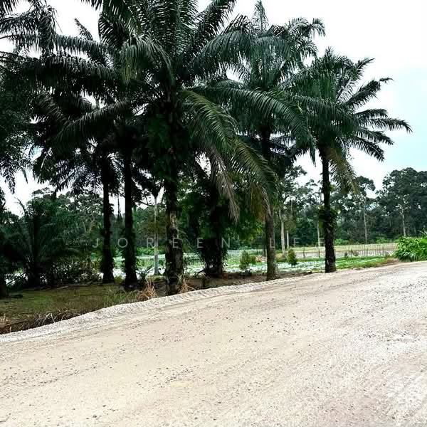 Other Property for Sale in Pontian (Johor) - Joreen Lee - PropertyGuru.com.my