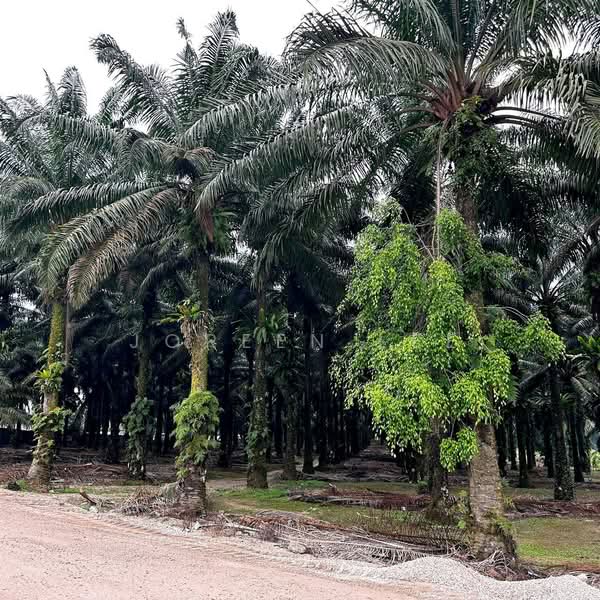 Other Property for Sale in Pontian (Johor) - Joreen Lee - PropertyGuru.com.my