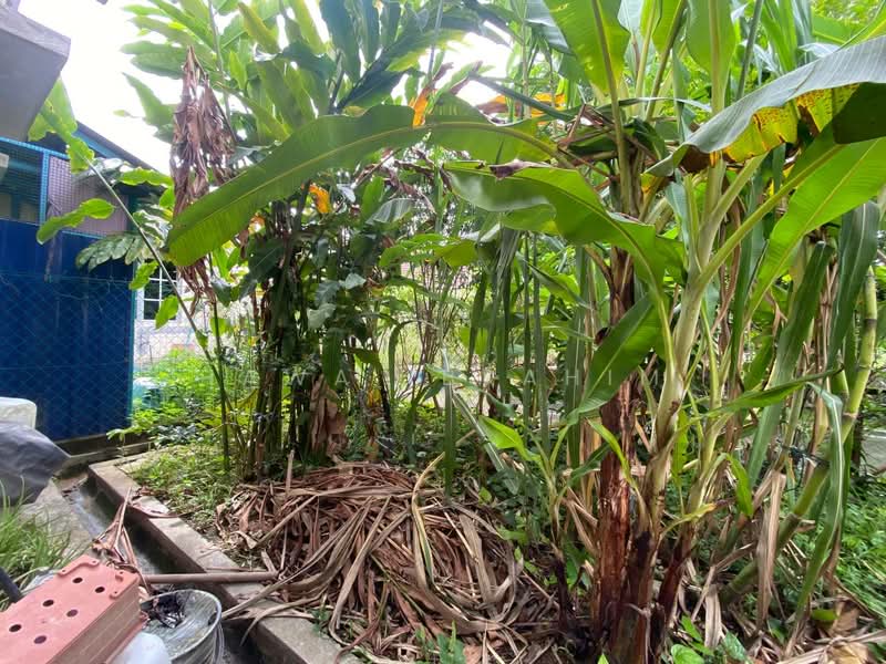 Rumah Teres 2 Tingkat untuk Dijual di Bandar Baru Bangi (Selangor) - Hawa Ibrahim - PropertyGuru.com.my