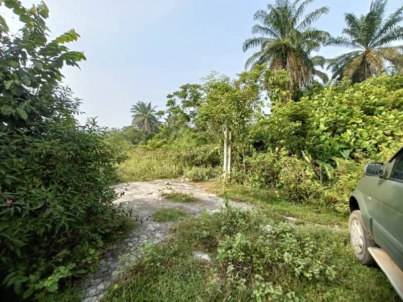 Tanah Pertanian untuk Dijual di Kota Bahru (Gopeng) - Kit Pin Liew - PropertyGuru.com.my
