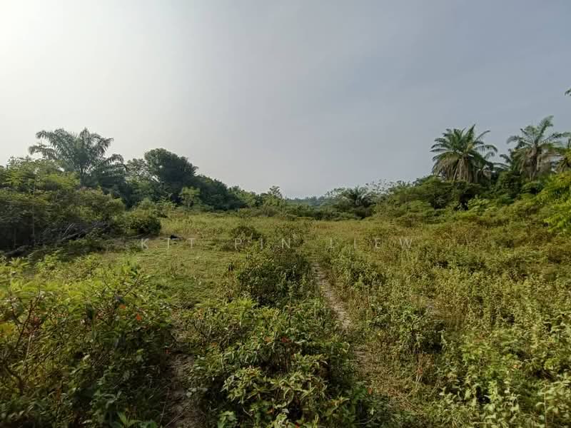 Tanah Pertanian untuk Dijual di Kota Bahru (Gopeng) - Kit Pin Liew - PropertyGuru.com.my
