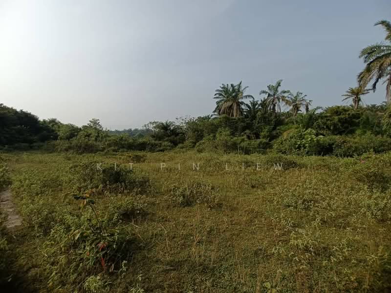 Tanah Pertanian untuk Dijual di Kota Bahru (Gopeng) - Kit Pin Liew - PropertyGuru.com.my