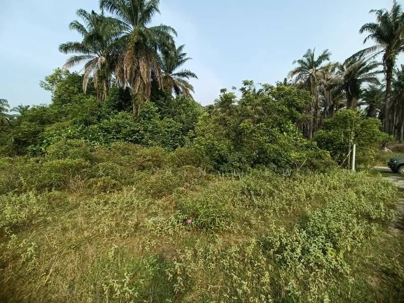 Tanah Pertanian untuk Dijual di Kota Bahru (Gopeng) - Kit Pin Liew - PropertyGuru.com.my
