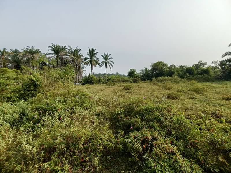 Tanah Pertanian untuk Dijual di Kota Bahru (Gopeng) - Kit Pin Liew - PropertyGuru.com.my