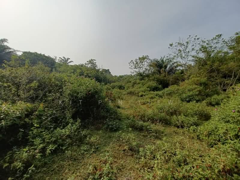 Tanah Pertanian untuk Dijual di Kota Bahru (Gopeng) - Kit Pin Liew - PropertyGuru.com.my