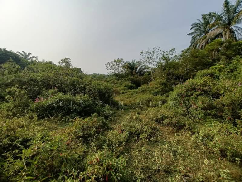 Tanah Pertanian untuk Dijual di Kota Bahru (Gopeng) - Kit Pin Liew - PropertyGuru.com.my