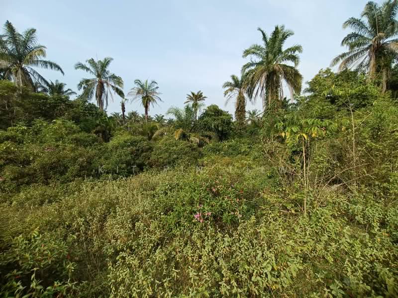 Tanah Pertanian untuk Dijual di Kota Bahru (Gopeng) - Kit Pin Liew - PropertyGuru.com.my