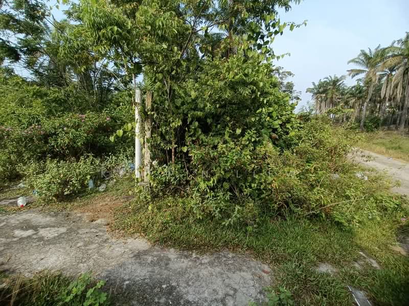 Tanah Pertanian untuk Dijual di Kota Bahru (Gopeng) - Kit Pin Liew - PropertyGuru.com.my