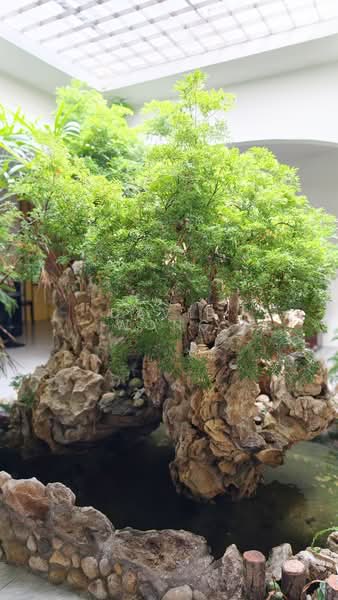 Bungalow for Sale in Ipoh (Perak) - David Wong - PropertyGuru.com.my
