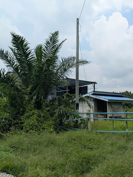 Agricultural Land for Sale in Kota Tinggi (Johor) - Shirley Lim - Exterior - PropertyGuru.com.my