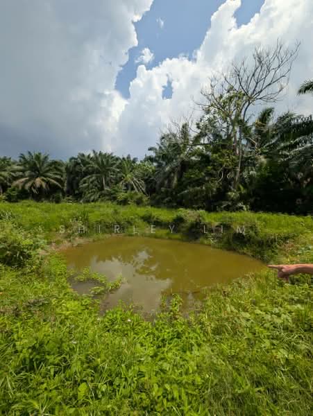 Agricultural Land for Sale in Kota Tinggi (Johor) - Shirley Lim - Exterior - PropertyGuru.com.my