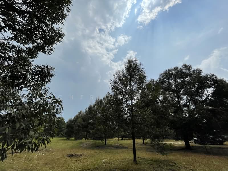 Agricultural Land for Sale in Karak (Pahang) - Cherine Tan - Exterior - PropertyGuru.com.my