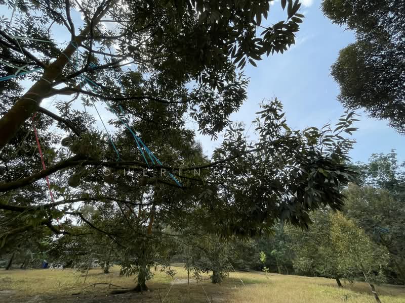 Agricultural Land for Sale in Karak (Pahang) - Cherine Tan - Exterior - PropertyGuru.com.my