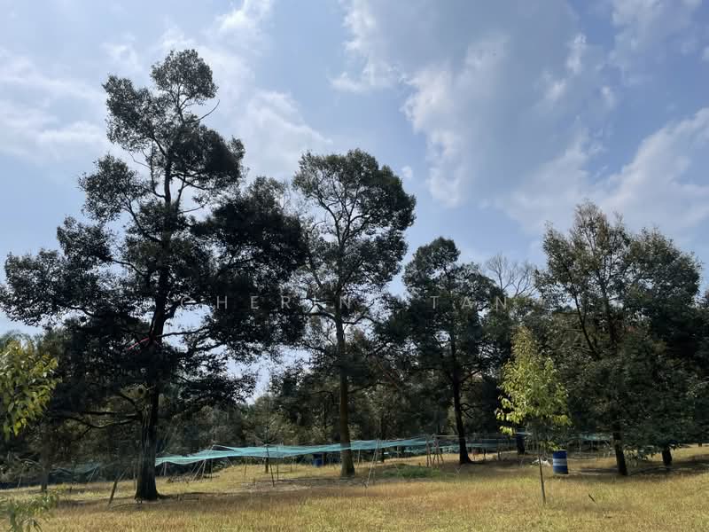 Agricultural Land for Sale in Karak (Pahang) - Cherine Tan - Exterior - PropertyGuru.com.my
